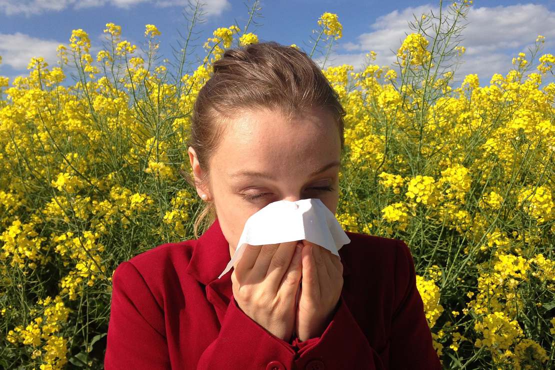 W jaki sposób walczyć z wiosenną alergią