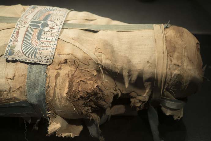 Nawijamy o ciekawych faktach dotyczących mumii 
