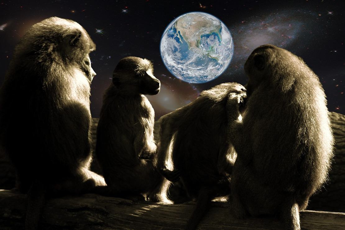 Ciekawostki o Planecie Małp