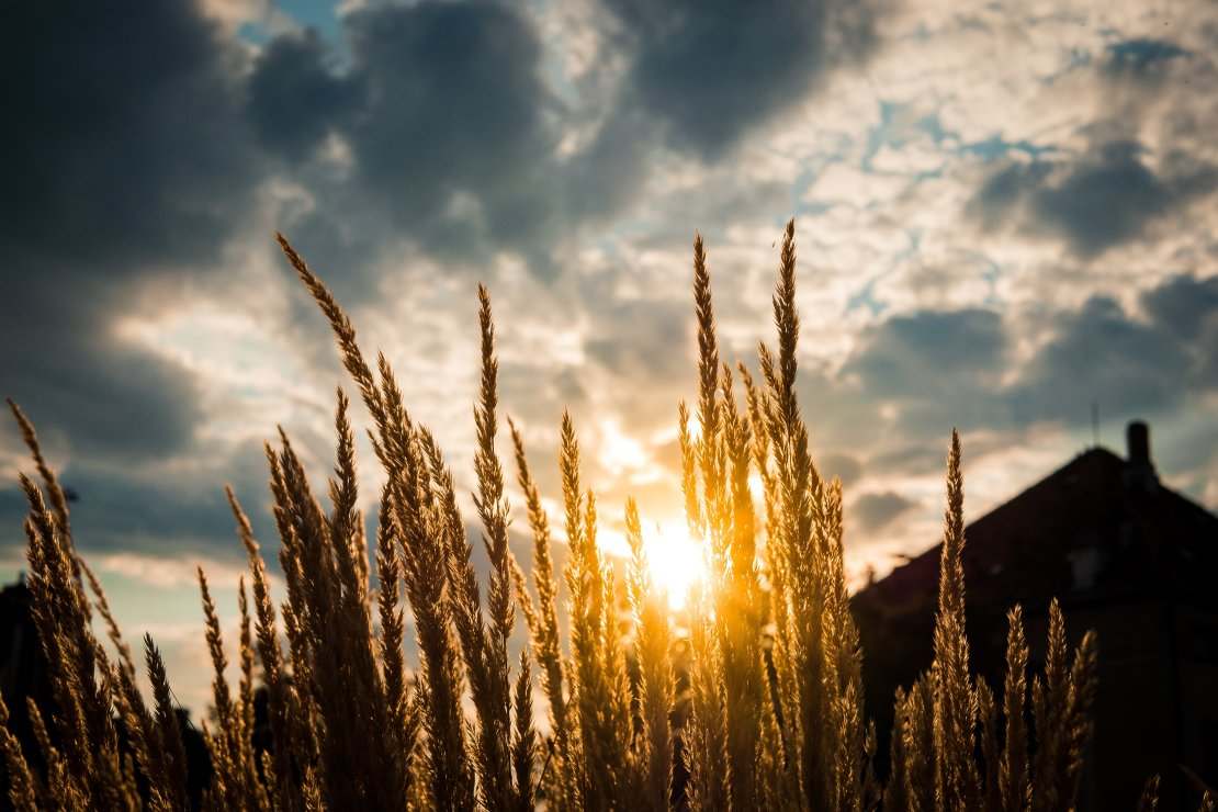 Lato we Wrocławiu - jak się przygotować?