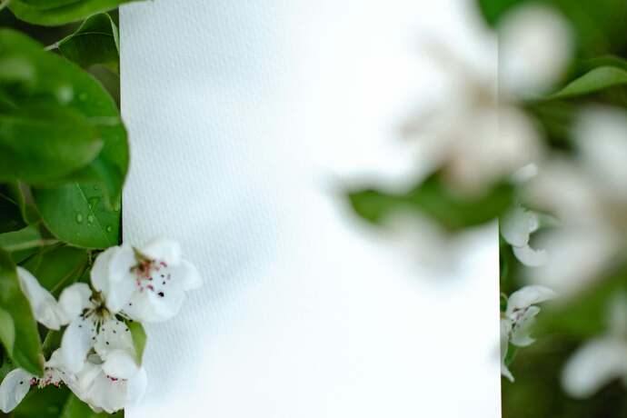 Jaki papier i oprawę najlepiej wybrać do druku książki?