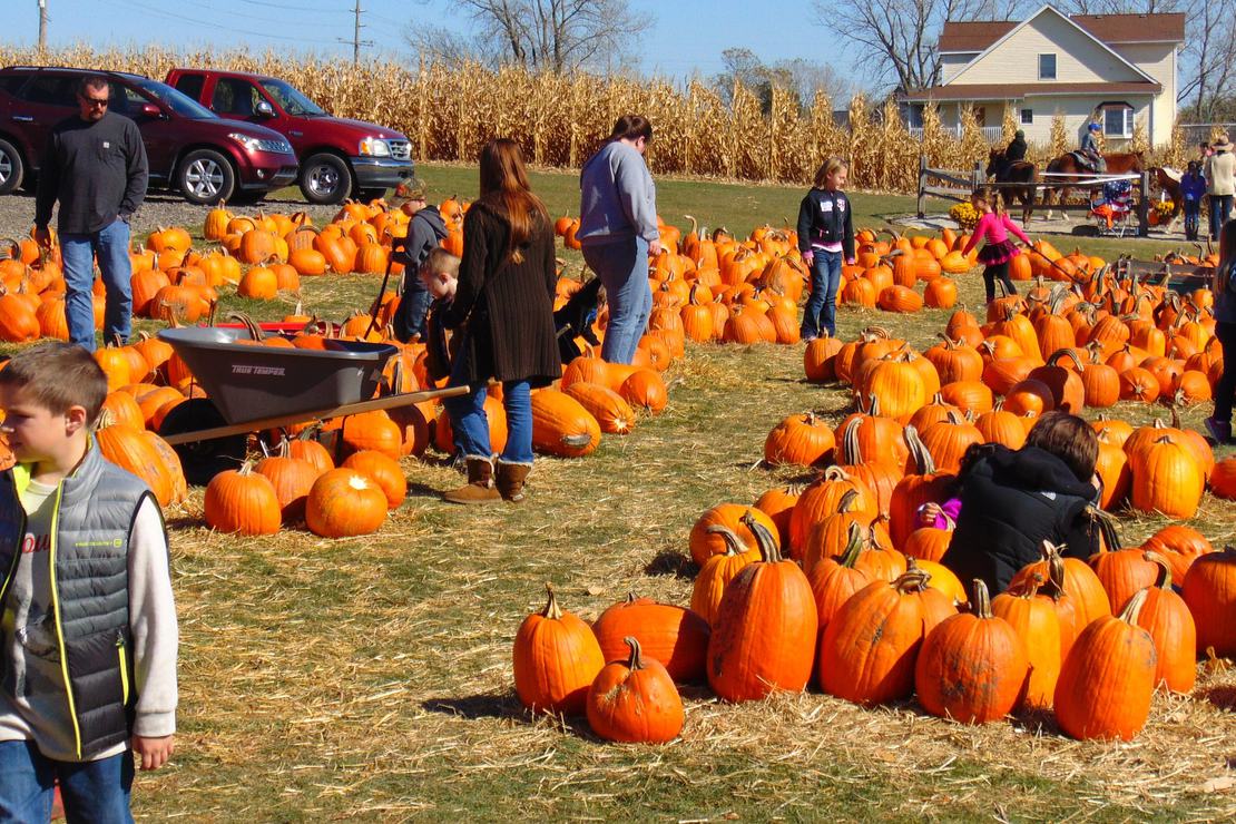 Halloween - popularne i dochodowe święto