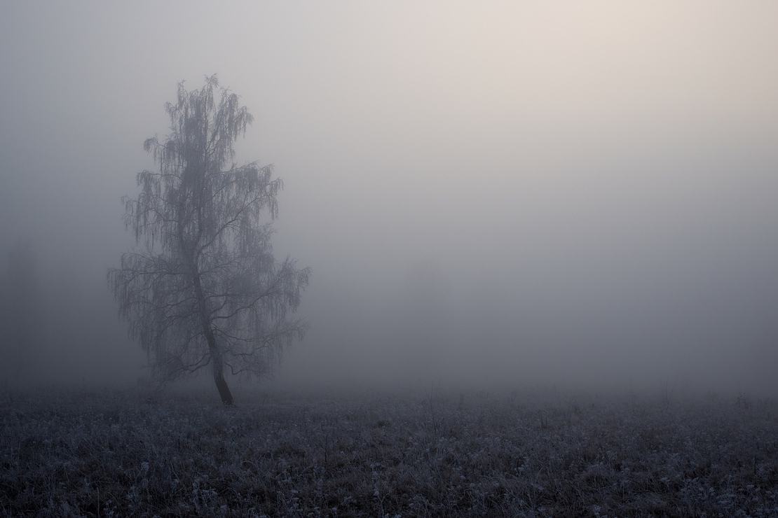 Husaria - Rekordowe zwycięstwo 25 do 1