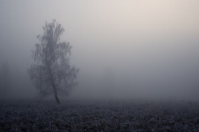 Husaria - Rekordowe zwycięstwo 25 do 1