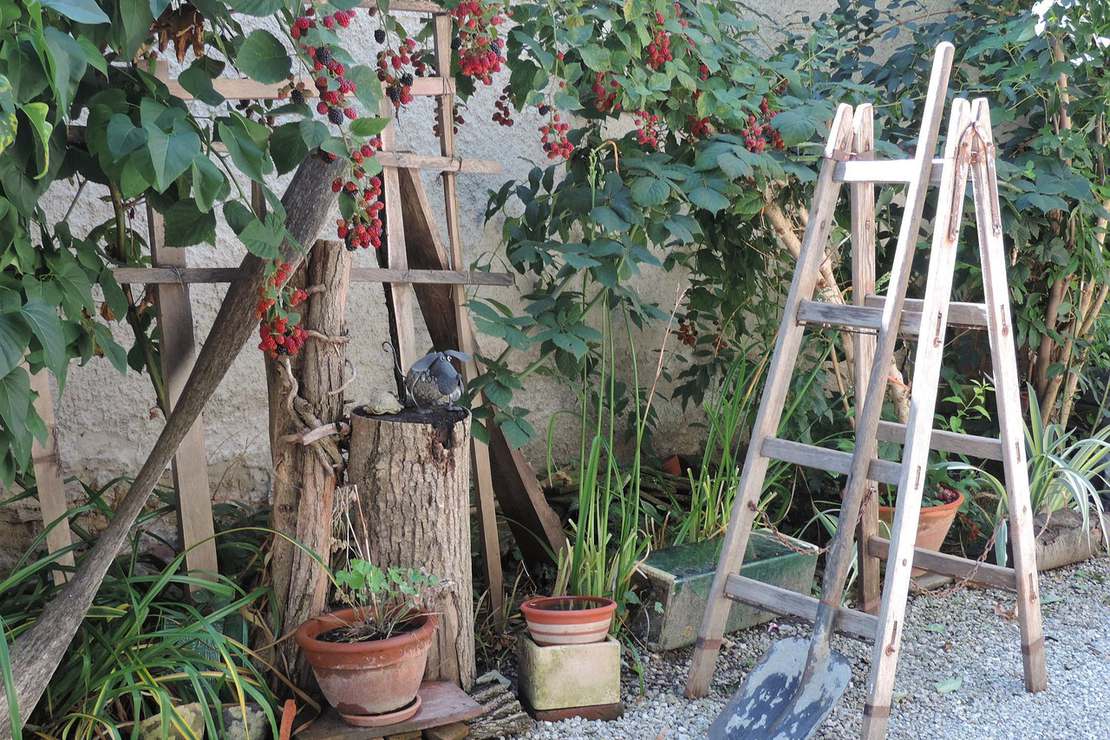 Zadbaj o odpowiednią drabinę, a porządki domowe staną się proste