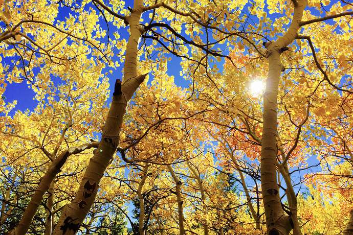 Pierwszy dzień astronomicznej i kalendarzowej jesieni