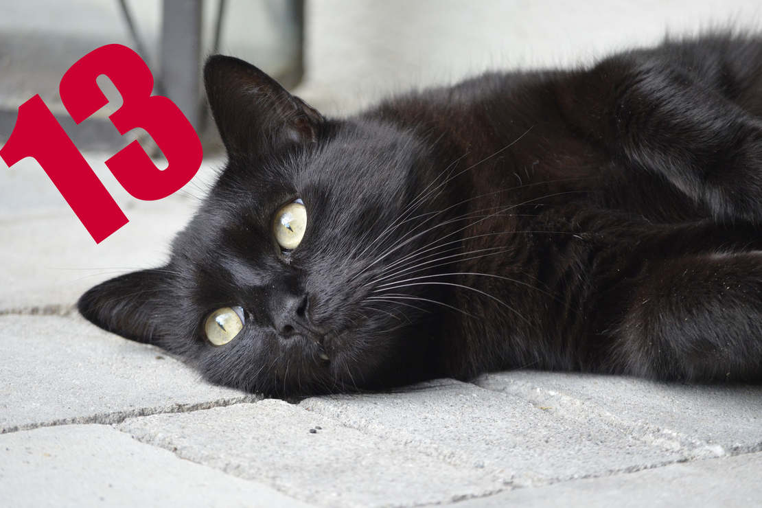 Wy także uważacie „trzynastkę” za feralną liczbę