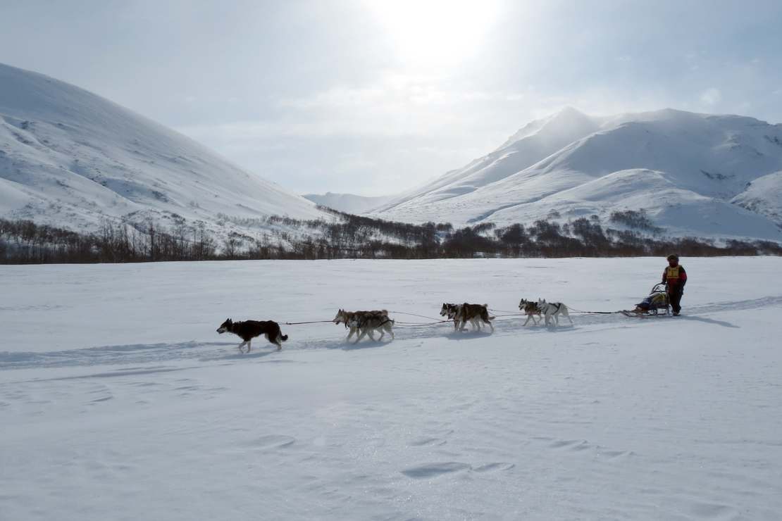 W zdobywaniu biegunów nie tylko wytrzymałość i siła człowieka je
