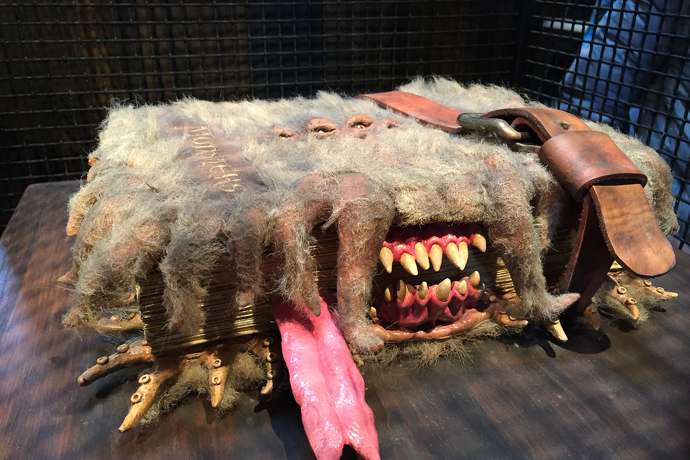 Księga Polskich Rekordów i Osobliwości