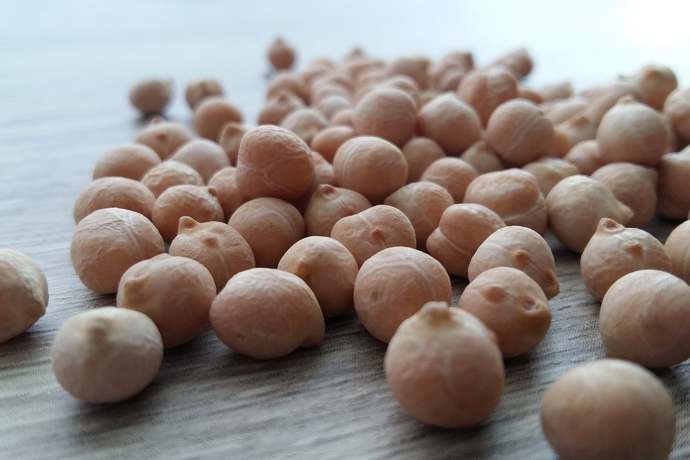 Ciecierzyca - rodzaje, właściwości zdrowotne, sposoby wykorzysta