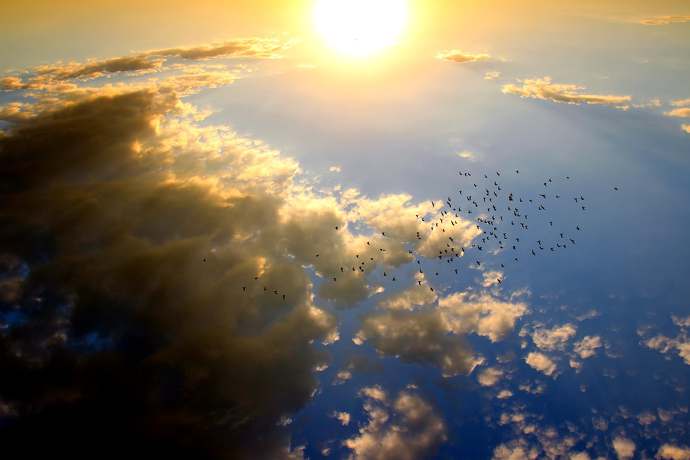 Czy jest szansa, że w kosmosie istnieje gwiazda będąca towarzysz