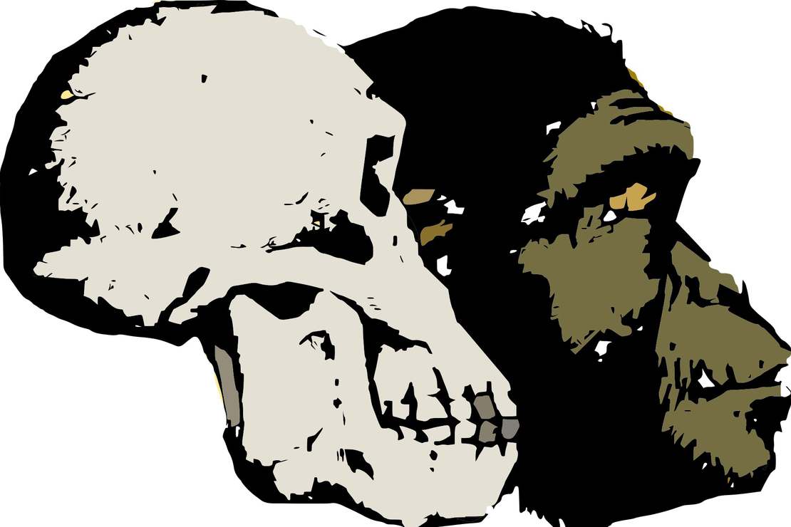 Kiedy odnaleziono pierwszy szkielet neandertalczyka? - fałszywy 