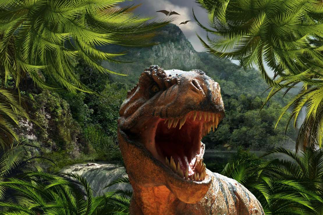 Płeć dinozaurów – czy da się ją ustalić?