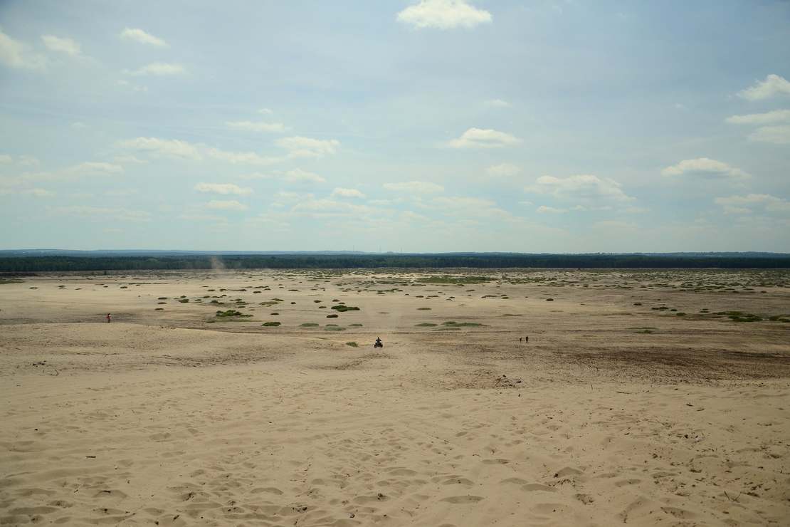 Pustynia Błędowska – polska atrakcja jest największą pustynią w 