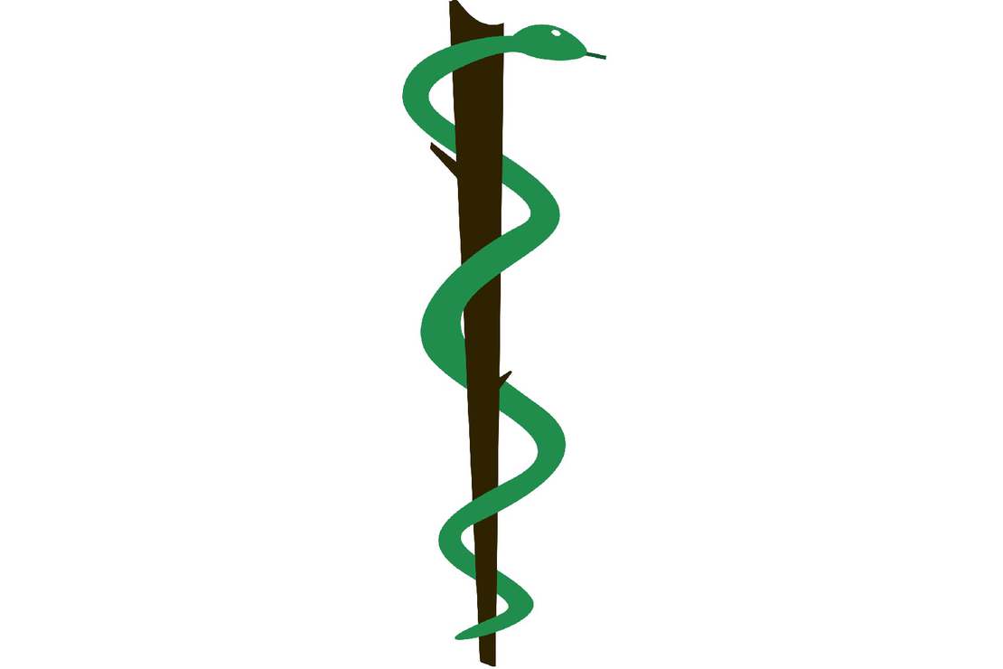 Dlaczego symbolem medycyny jest wąż owinięty wokół drewnianej la