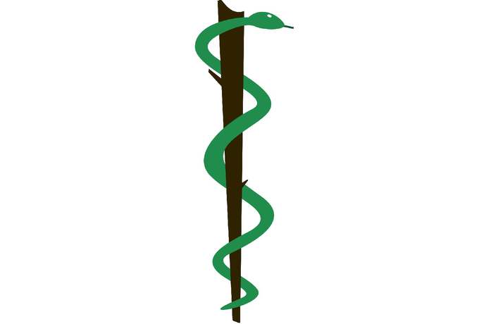 Dlaczego symbolem medycyny jest wąż owinięty wokół drewnianej la
