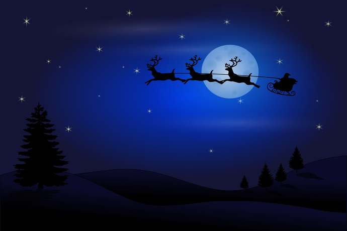 Renifery to nie tylko pomocnicy Mikołaja. Co warto wiedzieć o ty